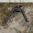tlubp02-a_h.webp