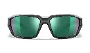 alpine_gm_fv.webp