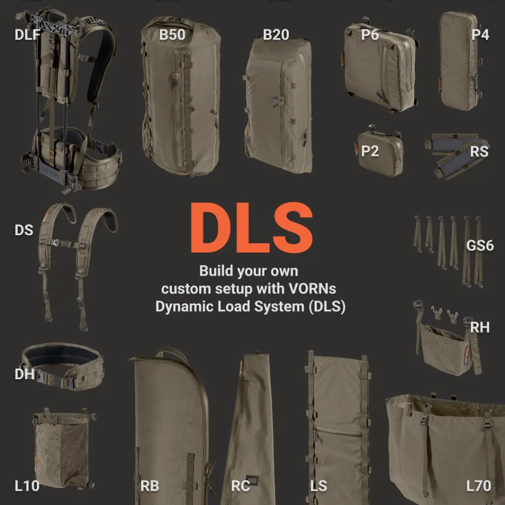 dlsintro-1.webp