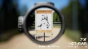 videoframe_1286.webp