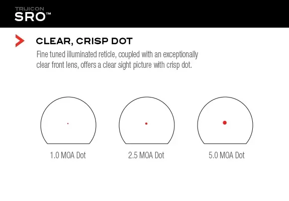 MOA DOTS.webp