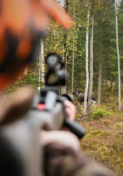 moose-hunting-with-a-red-dot-sight-story-header.webp