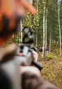 moose-hunting-with-a-red-dot-sight-story-header.webp